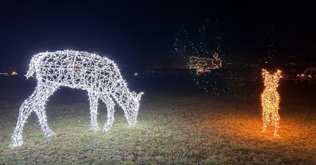 Svetelný park na dostihovej dráhe v Petržalke navštívilo už 20 tisíc ľudí