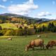 Najlepšie výhľady na Slovensku, o ktorých ste možno nevedeli