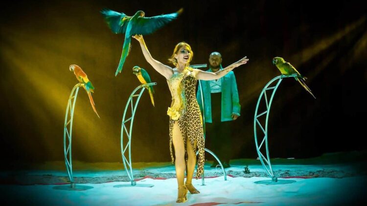 Cirkus Francesko Jung zavíta do Bratislavy, láka na jedinečné predstavenia s exotickými zvieratami