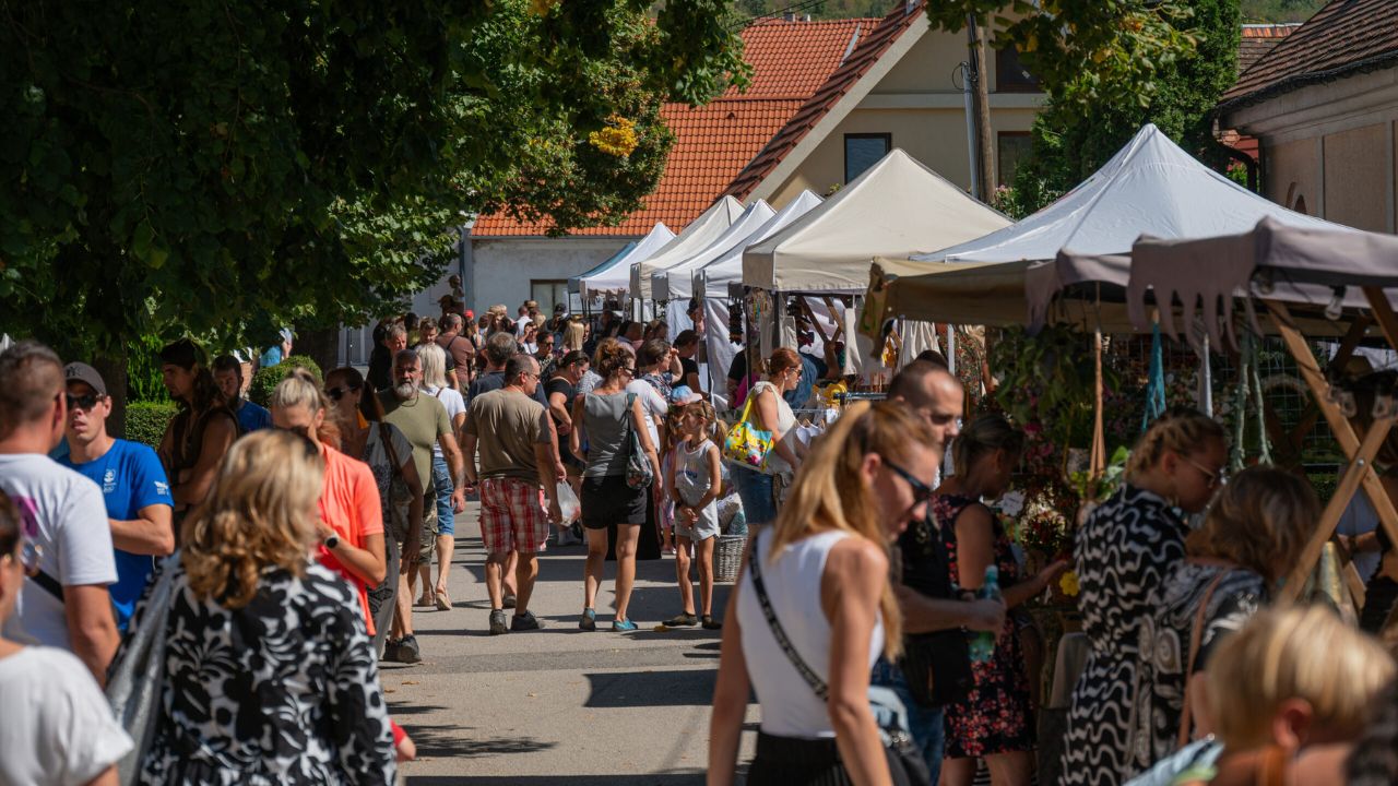 Vinobranie Modra 2024: Bohatý program pre celú rodinu