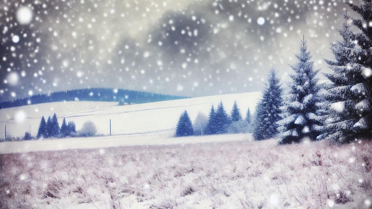 Zimná krajina na Slovensku s čerstvým snehom, zasnežené stromy a zasnežené polia pod zamračenou oblohou. Padajúce snehové vločky vytvárajú pokojnú zimnú atmosféru.