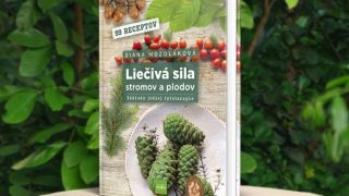 Liečivá sila stromov: Recepty z korún prírody, ktoré vás prekvapia