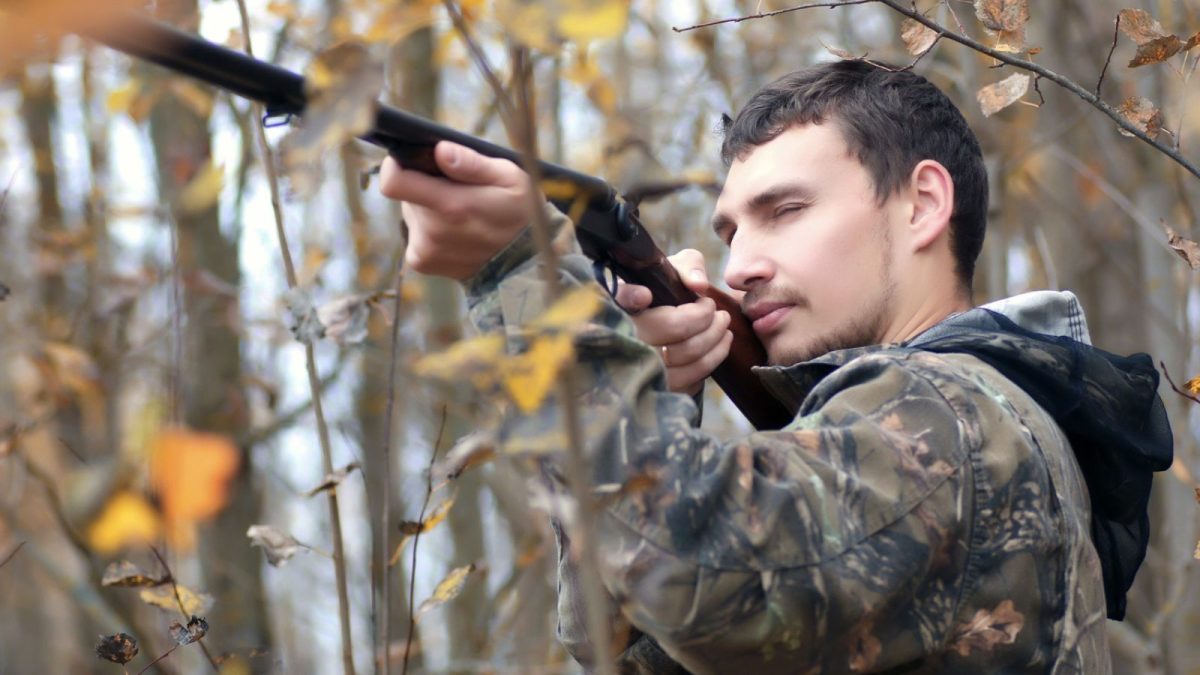 Čo musí nádejný poľovník spĺňať a urobiť pre získanie zbrojného preukazu?