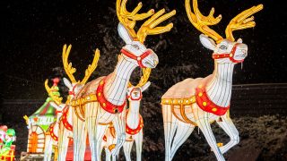 Winter Wonderland v Bratislave prináša sviatočnú atmosféru plnú svetiel, zábavy a magických zážitkov